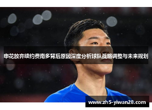 申花放弃续约费南多背后原因深度分析球队战略调整与未来规划
